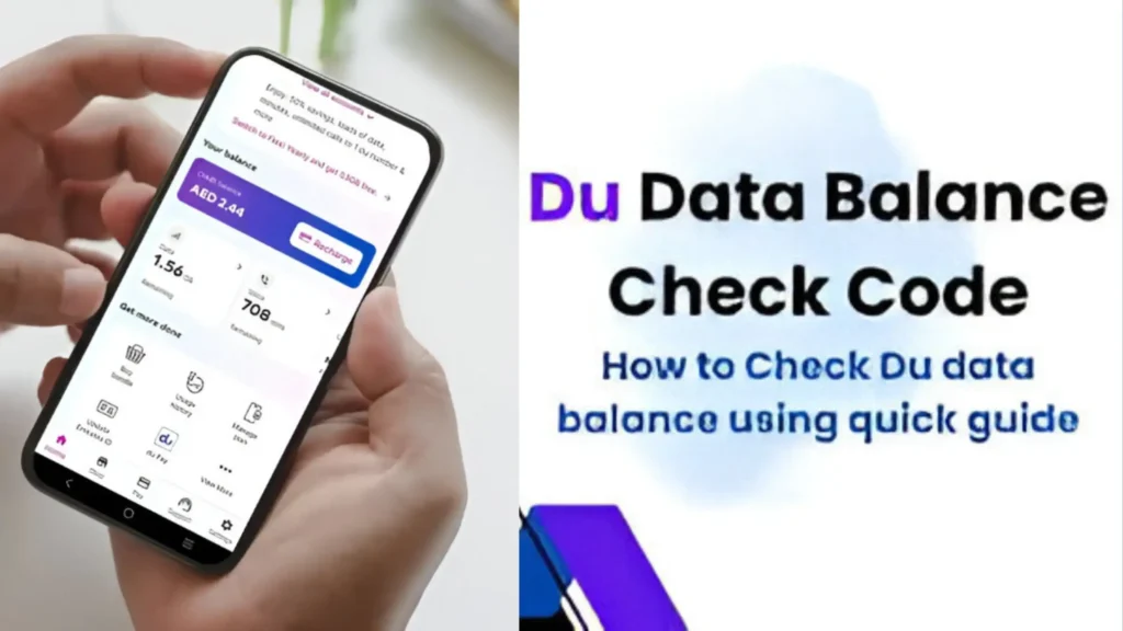 How to Check DU Balance