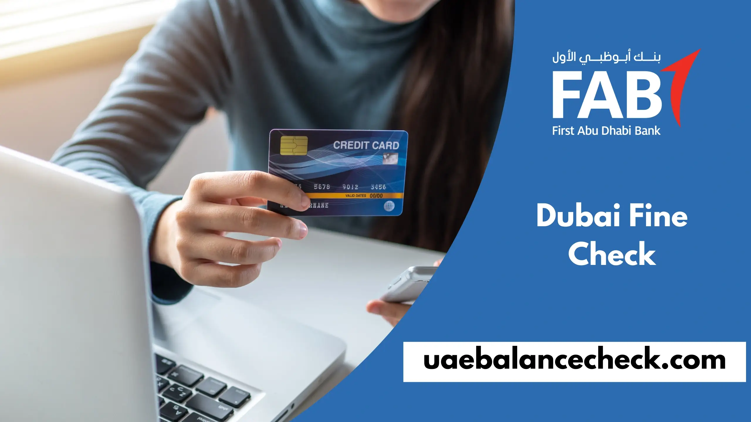Dubai Fine Check