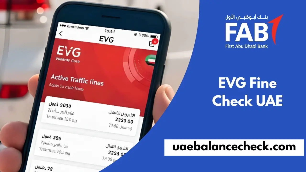 EVG Fine Check UAE